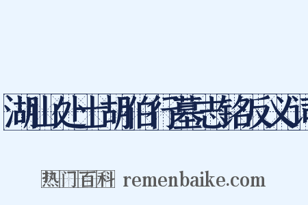 湖山处士胡伯行墓志铭反义词是什么意思的图片